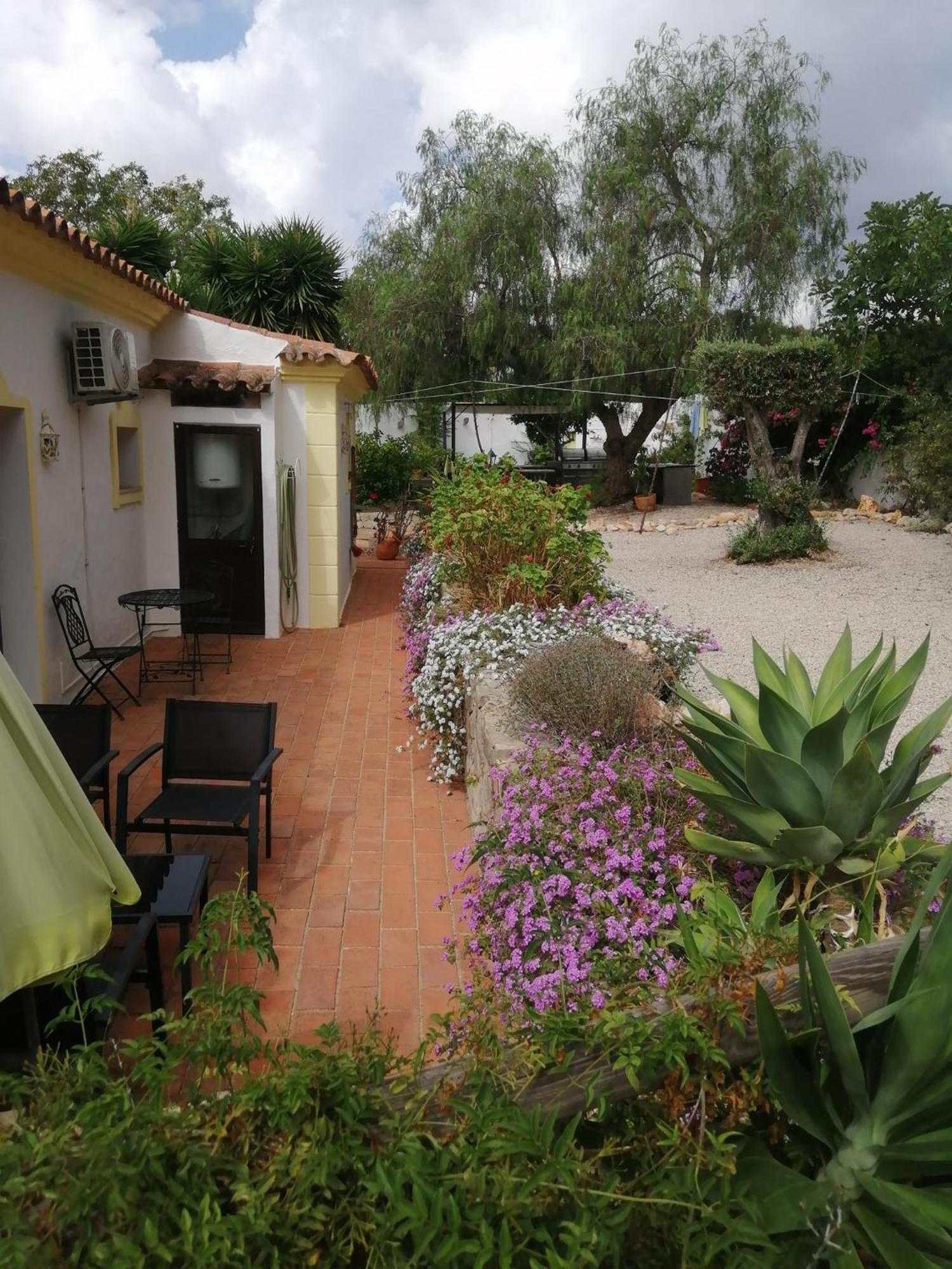 Bed and Breakfast Casa Mimosa à São Brás de Alportel Extérieur photo